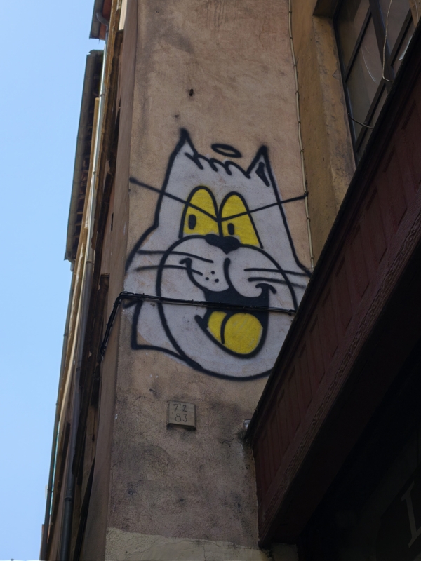Image Lyon